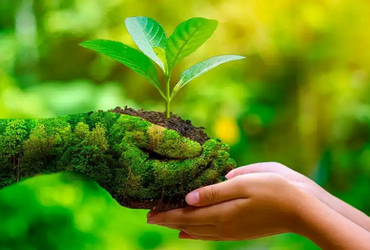 Save Our Planet: Why Environmental Awareness Matters