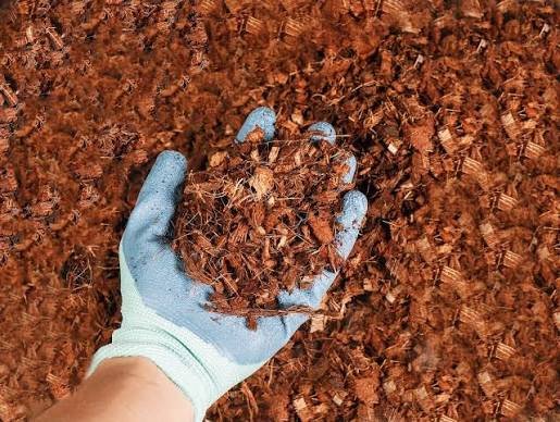 Navmaati Coir Mulch