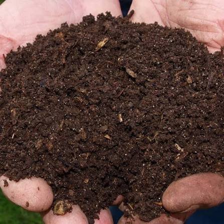 Navmaati vermi compost 