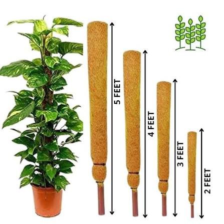 Navmaati Coir Stick