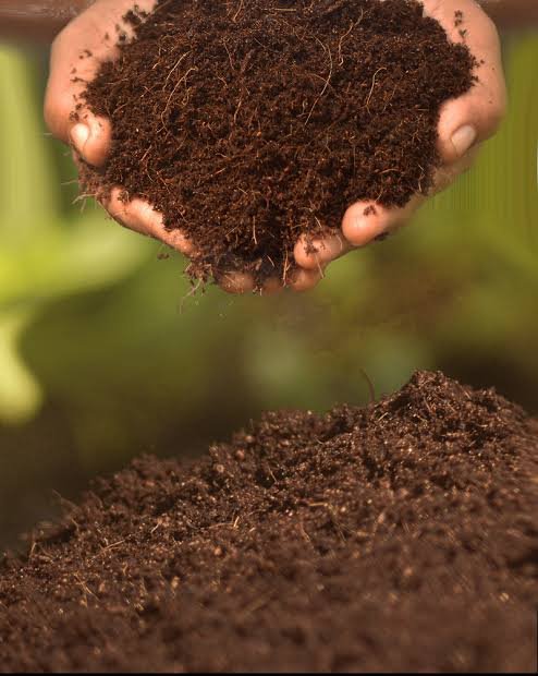 Navmaati Cocopeat