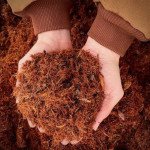 Navmaati Coir Mulch