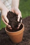 Navmaati Potting Mix