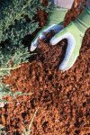 Navmaati Coir Mulch