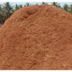 Navmaati Shell Powder