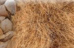 Navmaati Coir fiber
