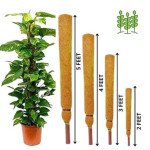 Navmaati Coir Stick