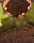 Navmaati Cocopeat