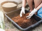 Navmaati Potting Mix