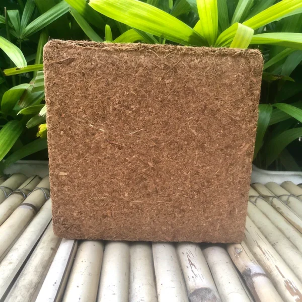 Cocopeat - Image 2
